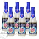 6 Bottles of Delirium Nocturnum