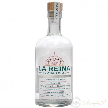 La Reina Raicilla Agave Maximiliana